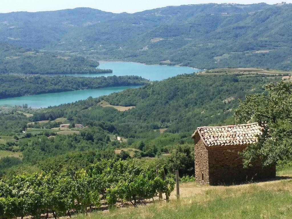 Al Merlo Olivo, Rural Istrian House Буйе Экстерьер фото