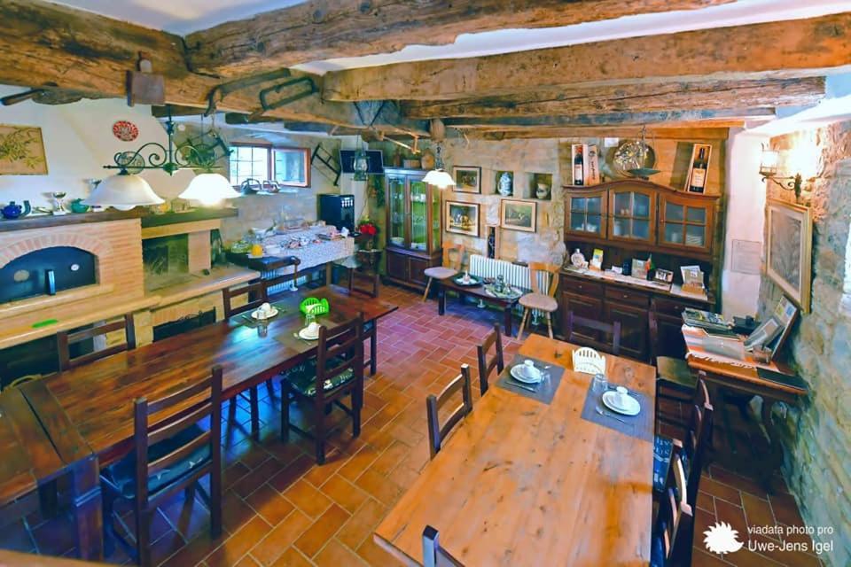 Al Merlo Olivo, Rural Istrian House Буйе Экстерьер фото