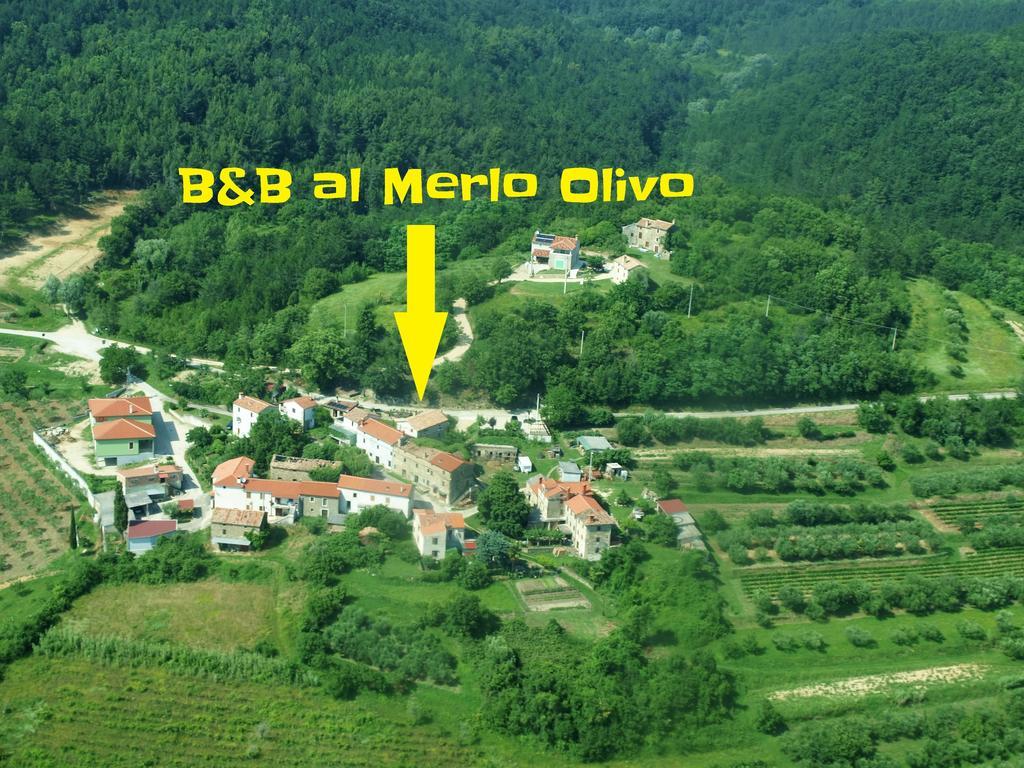 Al Merlo Olivo, Rural Istrian House Буйе Экстерьер фото