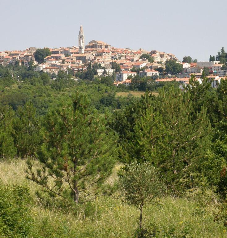 Al Merlo Olivo, Rural Istrian House Буйе Экстерьер фото