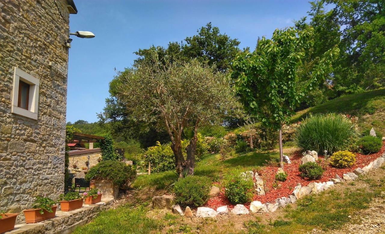 Al Merlo Olivo, Rural Istrian House Буйе Экстерьер фото