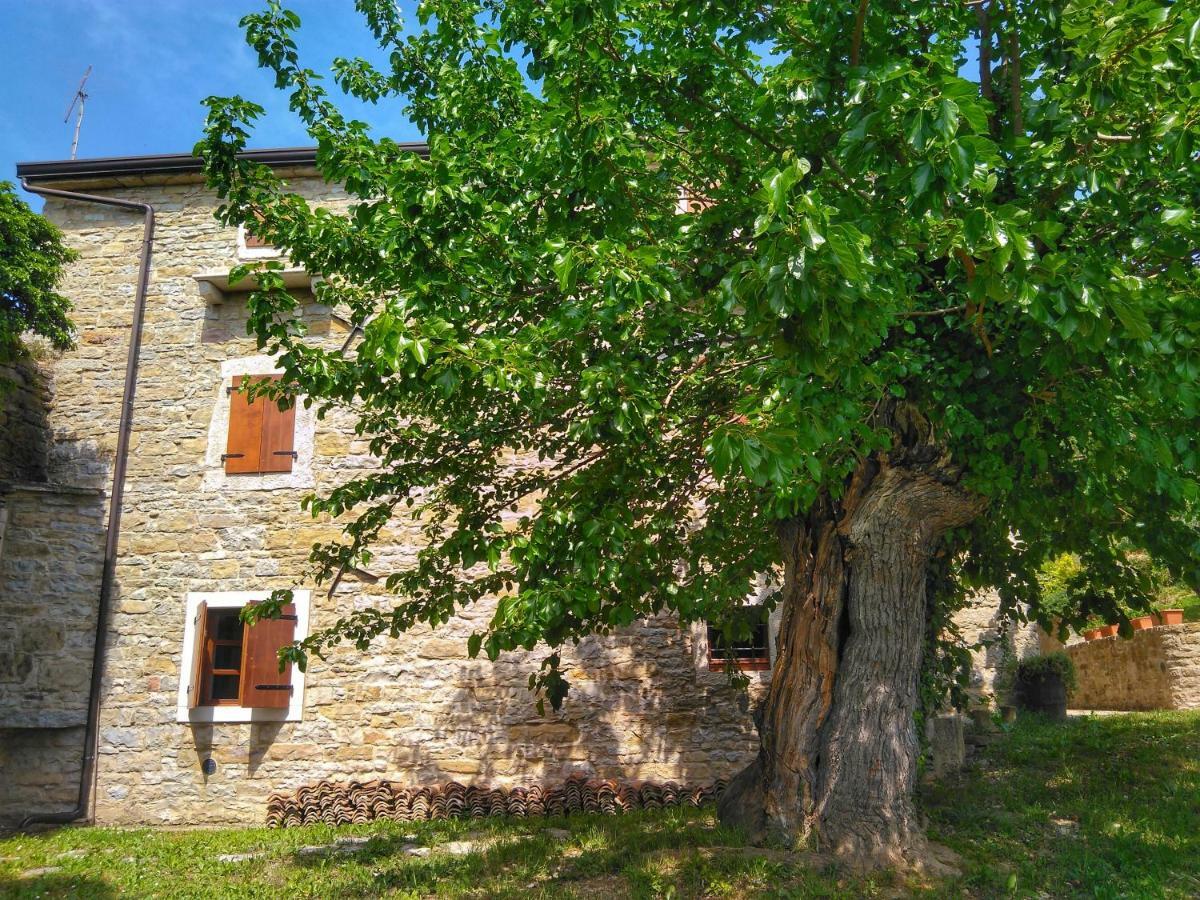 Al Merlo Olivo, Rural Istrian House Буйе Экстерьер фото