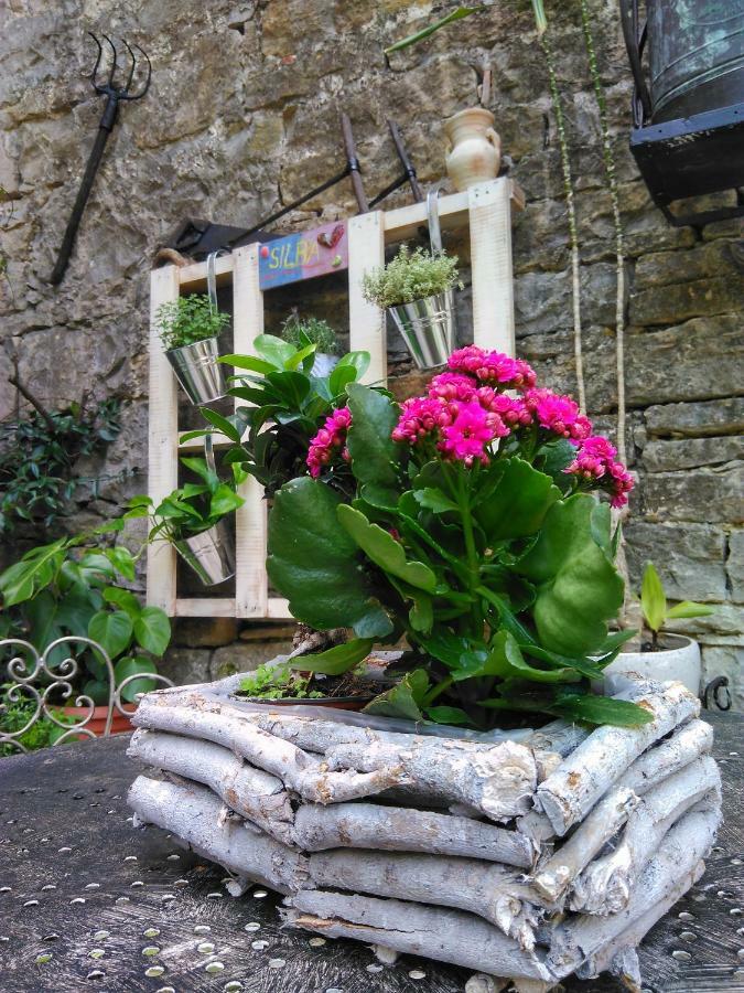 Al Merlo Olivo, Rural Istrian House Буйе Экстерьер фото