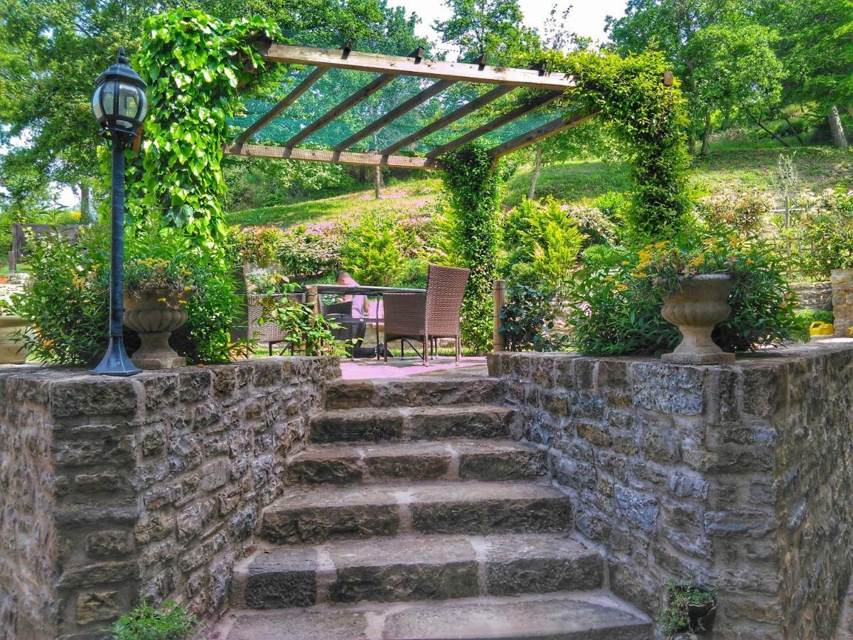 Al Merlo Olivo, Rural Istrian House Буйе Экстерьер фото